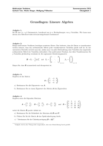 Grundlagen: Lineare Algebra