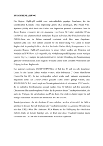 ZUSAMMENFASSUNG Die Region 15q11-q13