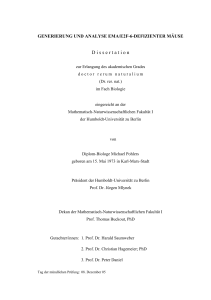 Generierung und Analyse EMA/E2F-6-defizienter Mäuse