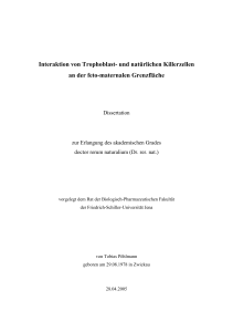 Pöhlmann-Dissertation