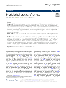 Physiological process of fat loss