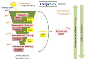 Abbildung Energiefluss
