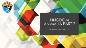 KINGDOM ANIMALIA PART 2