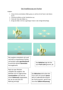Arbeitsblatt Puzzle zu Fortpflanzung der Fische