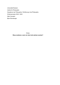 Essay