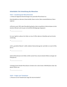 Arbeitsblatt Entwicklung des Menschen
